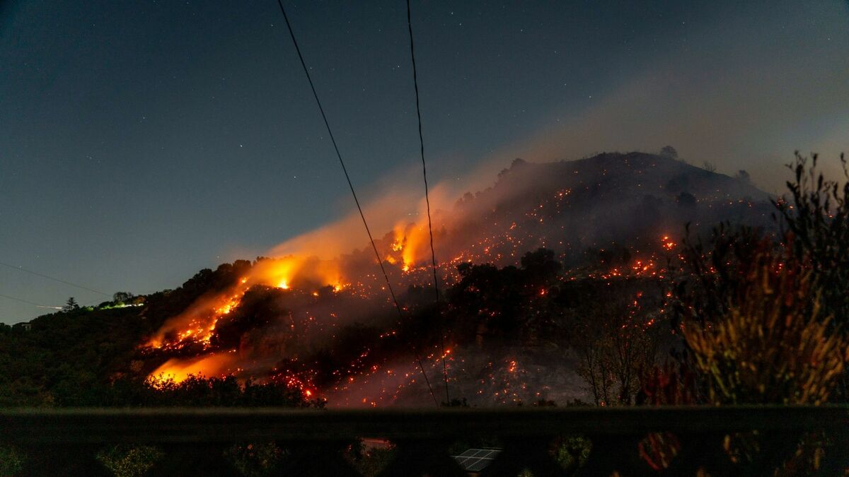 山火事で明るみに出たL.A.セレブの｢桁違い｣度 火事の数日後から不動産仲介の電話は鳴りっぱなし | 映画・音楽 | 東洋経済オンライン