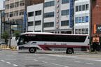 路面電車の軌道を渡って平和公園方面へ