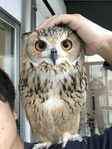 （写真提供：ゲンさん）