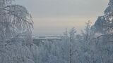冬場は、太陽光は少ないが純白の樹氷が美しい（写真：こばやし あやな）