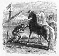 ハックルベリーがコレラ菌になるトンデモ本 あの有名ストーリー｡実は結構コワイんです