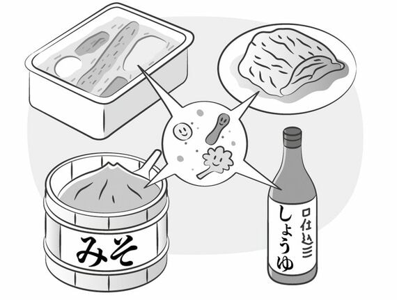 発酵食品