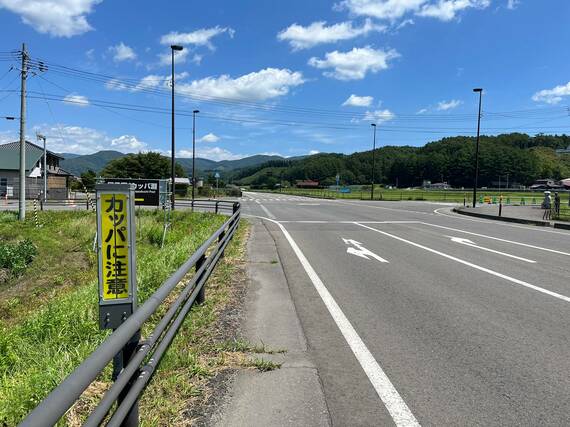 遠野
