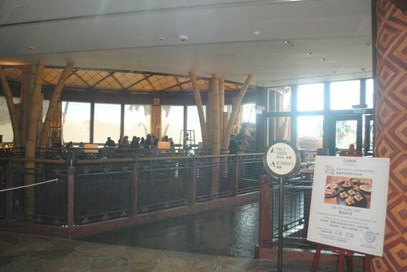 ドリーマーズ・ルックアウト