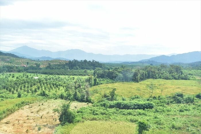 ビエンチャン郊外を出ると、ひたすら緑の車窓風景が続く