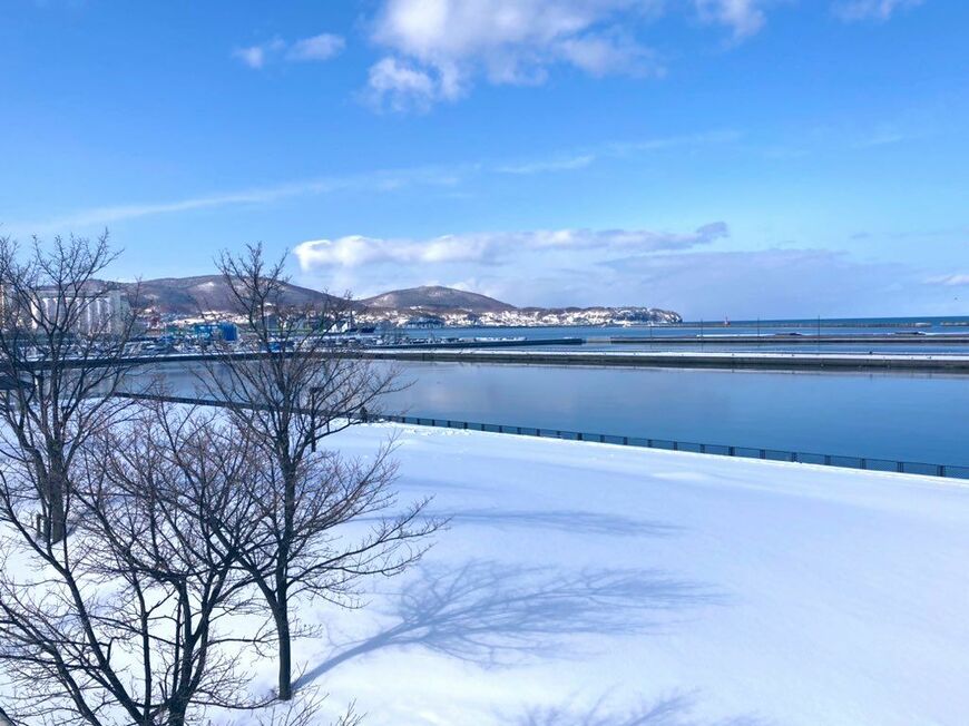 地方の都市の新しい生き残り方。社会福祉法人がまちづくりを推進する小樽「ウエルネスタウン構想」 （写真：筆者撮影）