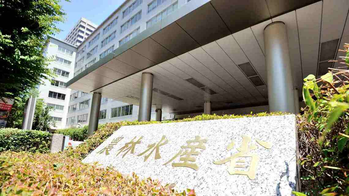 コメの価格はなぜ急騰したのか。その背景を考察していくと農林水産省にぶち当たった(撮影:梅谷秀司)