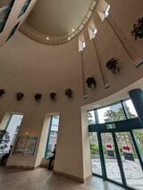 （写真：筆者撮影）