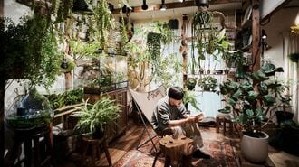 植物部屋で本を読むこのやさん