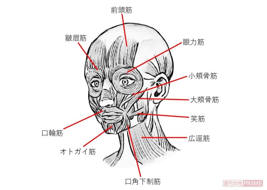 進行する マスク老け を食い止める超簡単なコツ 週刊女性prime 東洋経済オンライン 社会をよくする経済ニュース