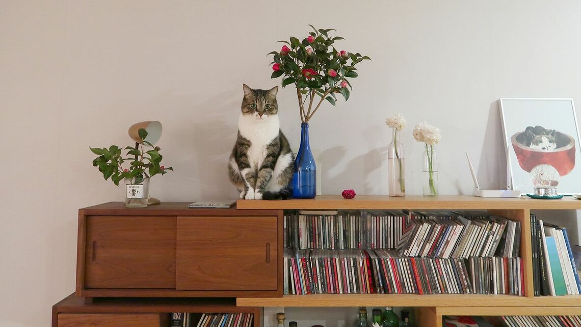 元気だった頃のゴロ