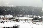 雪降る上越線を駆け抜ける