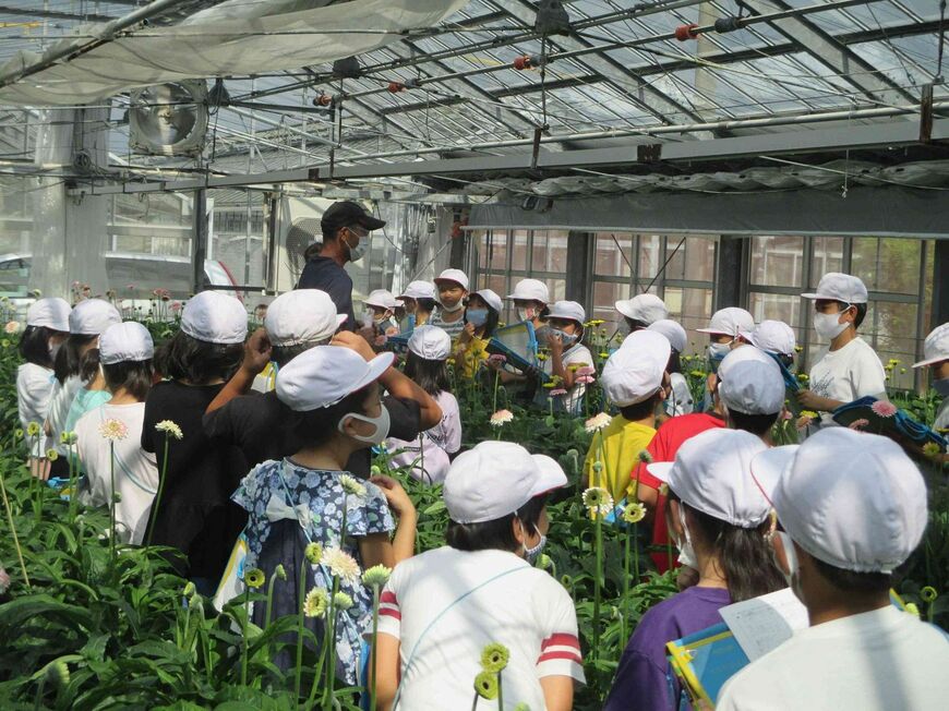地元の子供たちへの「花育」も地道に行ってきた（写真提供：浜松PCガーベラ）