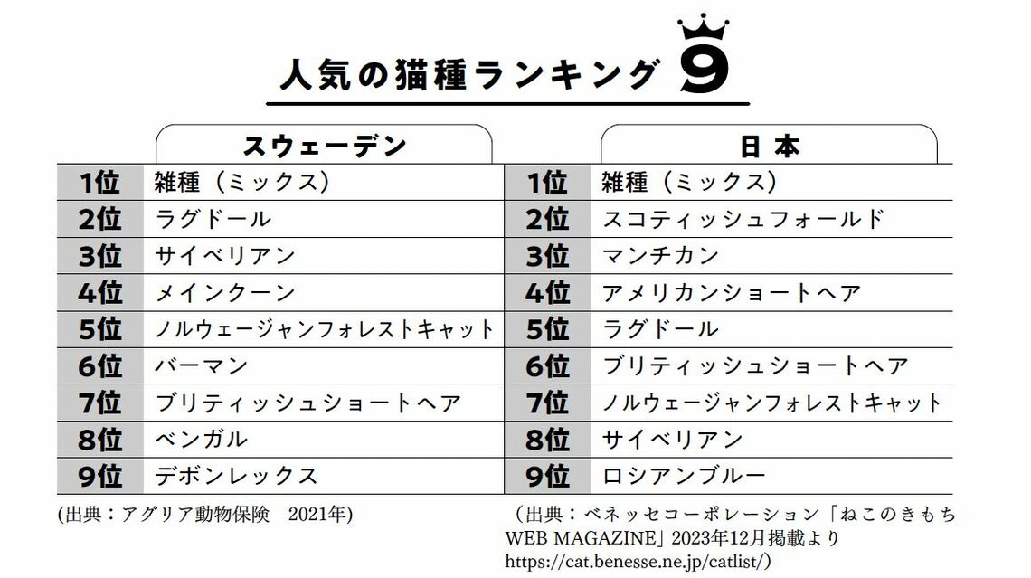 人気の猫ランキング