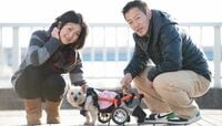 こんなに大変！ペット介護の知られざる現実 仕事との両立をどうするか？