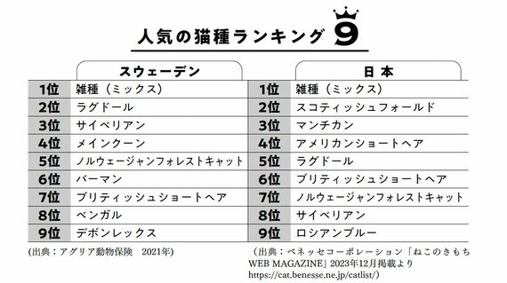 人気の猫ランキング