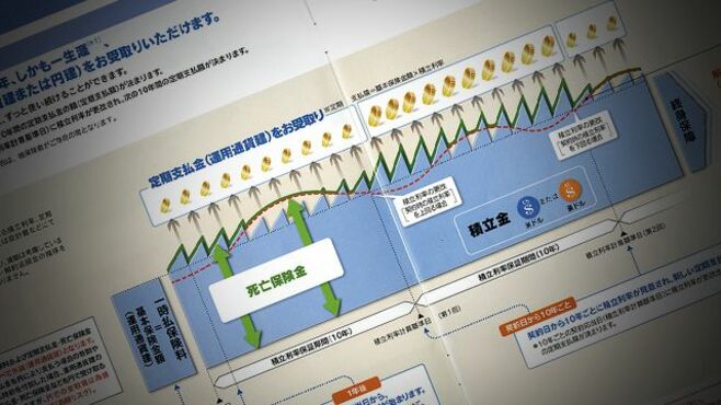 ｢元本保証｣を信じ外貨建て保険に加入