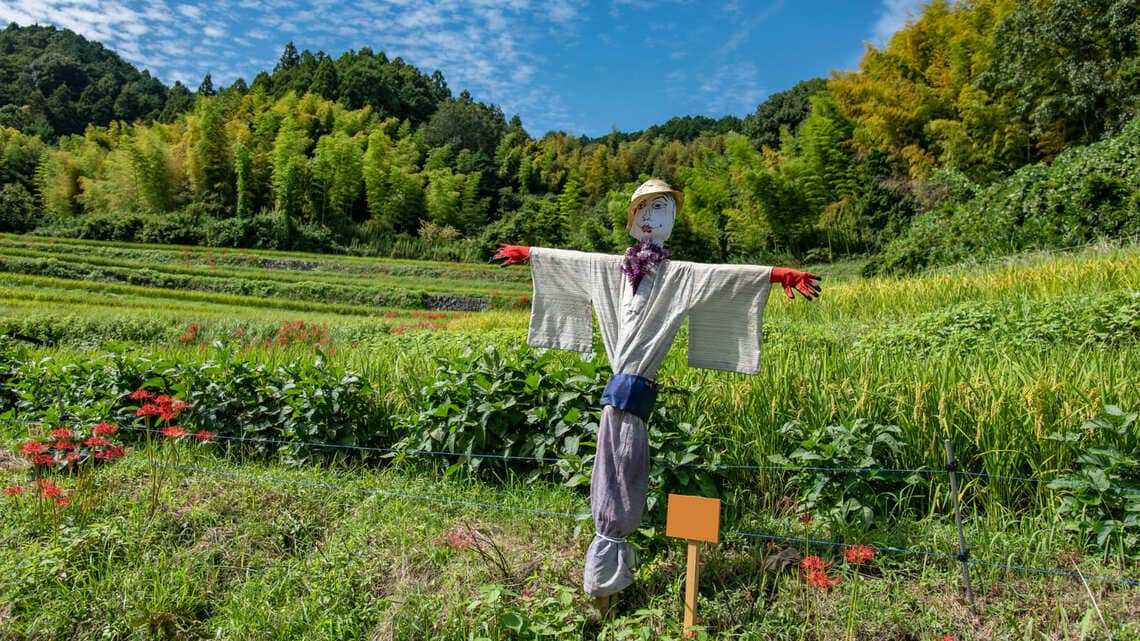 ひょんなことがきっかけで山を買ってわかった事 読書 東洋経済オンライン 社会をよくする経済ニュース