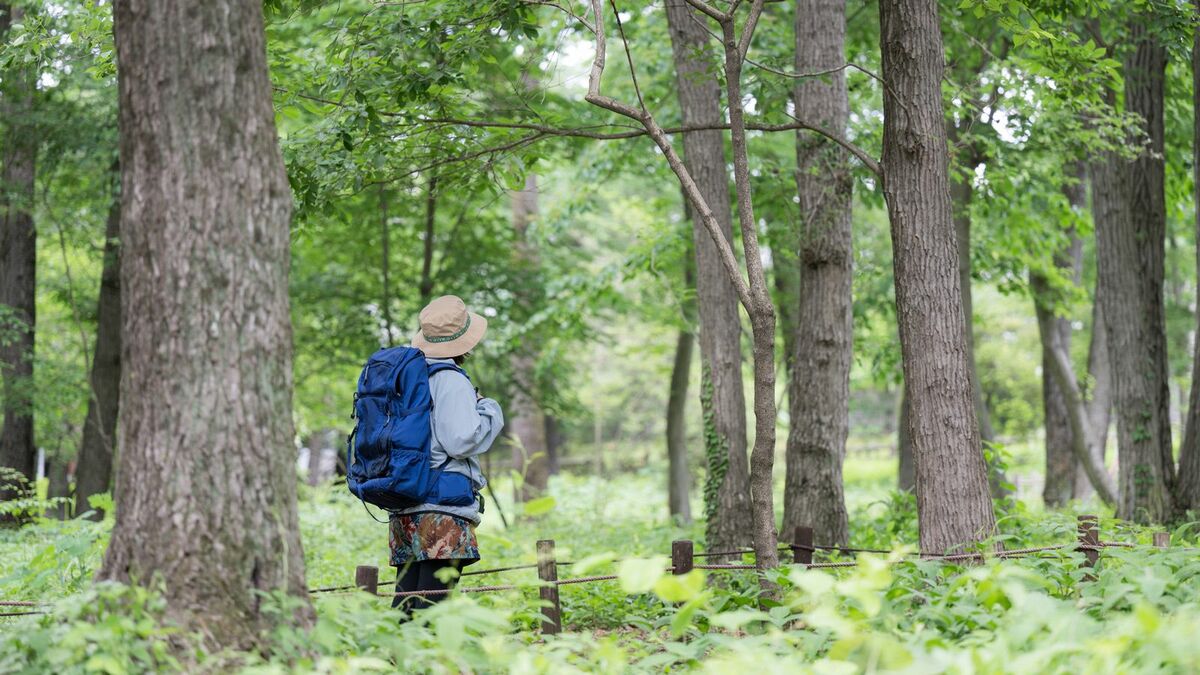 なぜ｢頂上を踏まない登山｣がこれほど面白いのか？気軽に"歩く"を楽しむ｢フラット登山｣のススメ | ライフ | 東洋経済オンライン