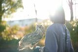 フクロウのエサやりには小動物の解体がつきもの。どこまで許容できるかは人それぞれだ（写真提供：ゲンさん）