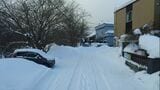 雪に埋もれる住宅街