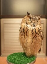 （写真提供：ゲンさん）
