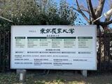 東京農業大学