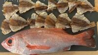 ｢漁師不足｣でも｢魚離れ｣でもない…世界で魚が増えているのに｢日本だけ｣減り続ける"本当の理由"