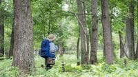 なぜ｢頂上を踏まない登山｣がこれほど面白いのか？気軽に"歩く"を楽しむ｢フラット登山｣のススメ