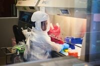 オミクロン株流行､パンデミックの終わりを示唆