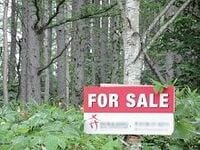 日本の森林が危ない、外資の買収に、所有者の所在不明　