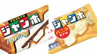 モナカジャンボが寒くても売れ行き落ちない訳 真夏にチョコも売れ､消費鉄則が崩れてきた