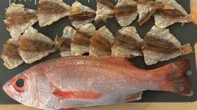 ｢漁師不足｣でも｢魚離れ｣でもない…世界で魚が増えているのに｢日本だけ｣減り続ける"本当の理由"
