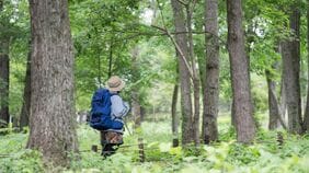 なぜ｢頂上を踏まない登山｣がこれほど面白いのか？気軽に"歩く"を楽しむ｢フラット登山｣のススメ