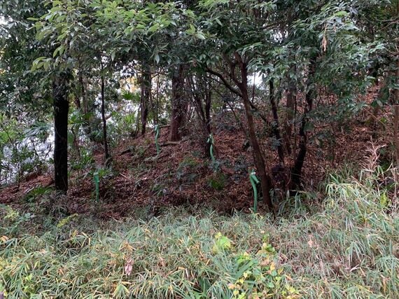 藤子・F・不二雄ミュージアム ウマタケ