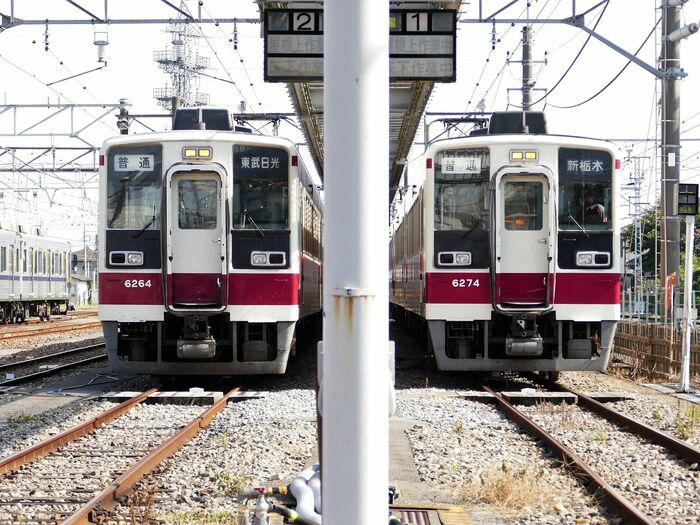 精悍な表情の6050型