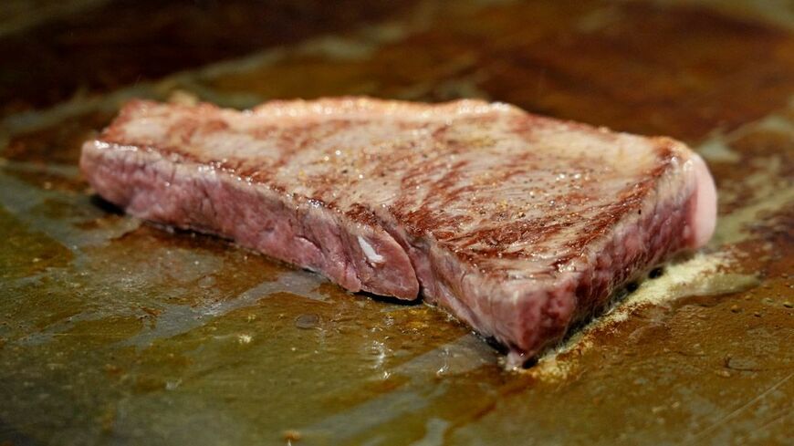 （撮影：梅谷秀司）