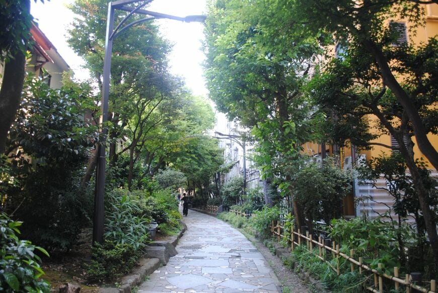 新宿遊歩道公園・四季の路