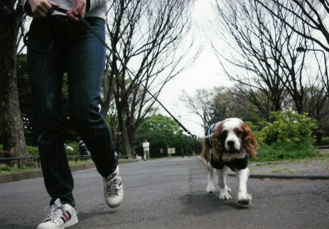 （筆者撮影／2005～2006年頃に撮影）