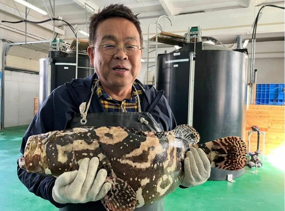 モンゴルで養殖開始から3年で8キロに成長した交雑ハタを抱える山本俊政准教授（岡山理科大学提供）