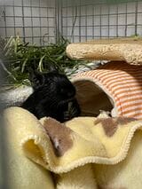 （写真：みきさん）