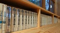 『ライ麦畑でつかまえて』『モンテ･クリスト伯』東大生が夢中になって読んだ人気名作文学3選