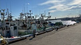 ホルムズ危機でも日本漁船が｢ムダな燃料｣を使い続ける構造的理由