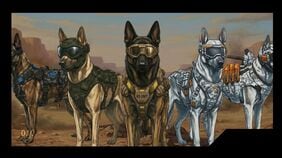 ｢人間のくだらない戦争に犬を巻き込むな｣クローン＋遺伝子編集の軍用犬開発に怒り噴出…小泉防衛相との面会に疑念も