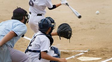 高校野球の存続脅かす｢審判｣という時限爆弾 必要人数のべ1.6万人