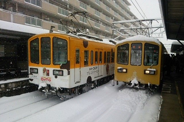 積雪が30cm以上になるとJR東海道線や国道が動かなく