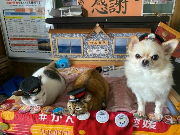 伊予上灘駅では犬猫駅長がお見送り