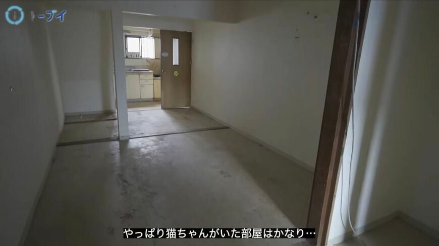 きれいに一掃された1階エリア（画像：「イーブイ片付けチャンネル」より）