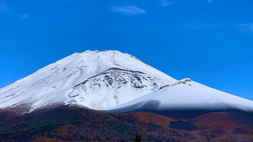 富士山は山頂まで登らずとも楽しめる（写真：筆者撮影）