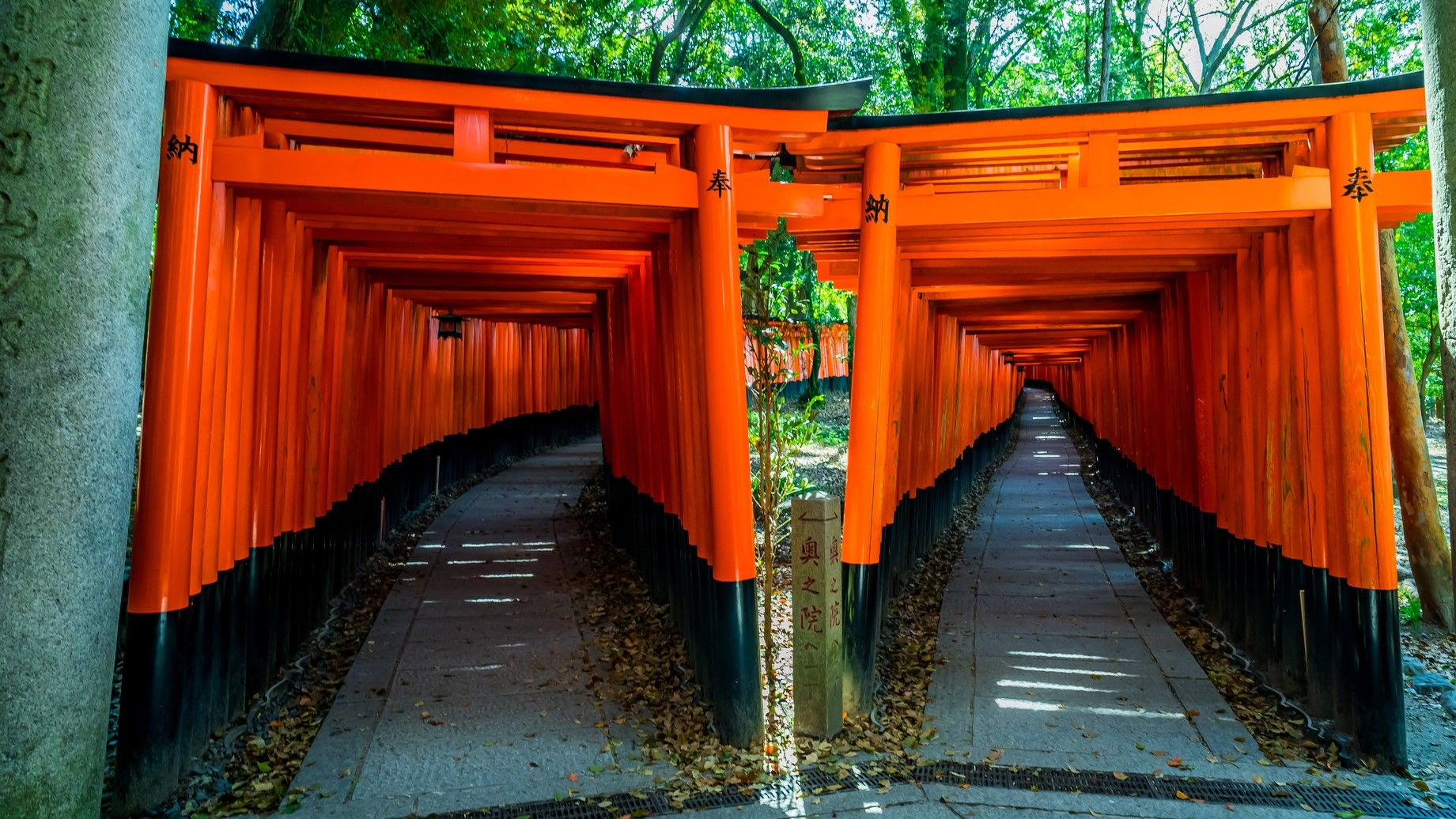 麻雀小説家も神と祀られる 神社の意外な実態 雑学 東洋経済オンライン 社会をよくする経済ニュース